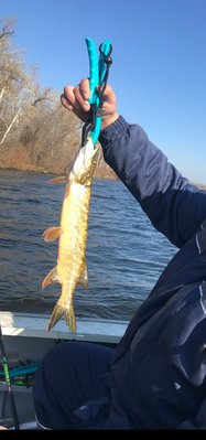 IMG_20211031_163320.jpg