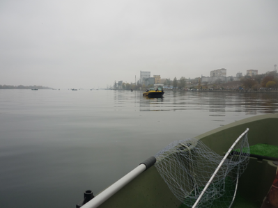 P1180283.png