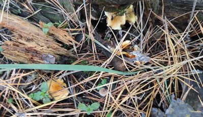 IMG_20211107_165834.jpg