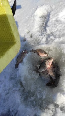 IMG_20210220_114403.jpg