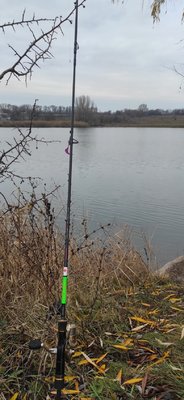 IMG_20211109_203541.jpg