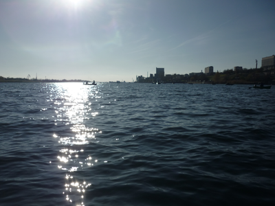 P1180292.png