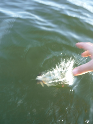 P1180295.png