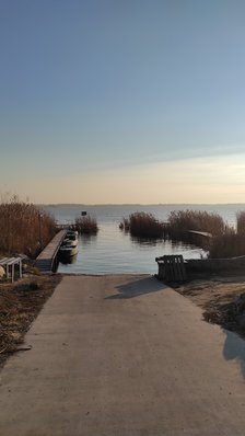 IMG_20211125_081512.jpg