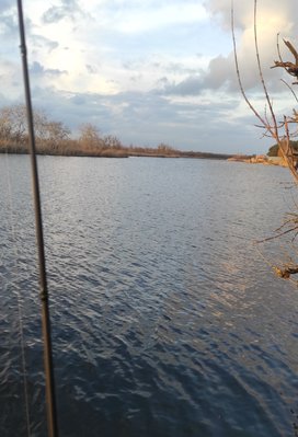 IMG_20211203_171740.jpg