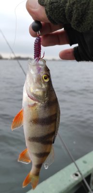 IMG_20211211_131040.jpg