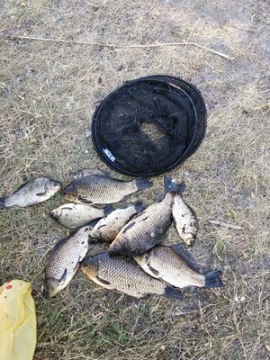 IMG_20210624_173358_668.jpg