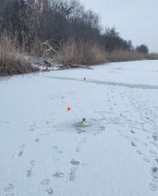 IMG_20211224_195455.jpg