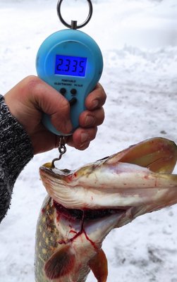 IMG_20211230_165615.jpg