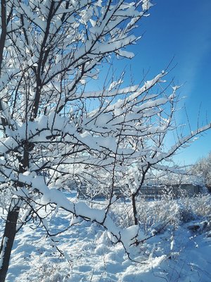 20211226_131226.jpg