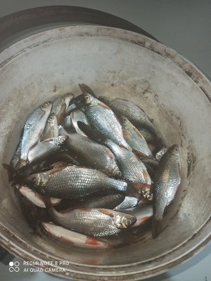 IMG_20220116_141002.jpg