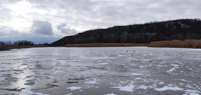 IMG_20220116_213134.jpg
