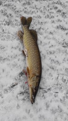 IMG_20220116_213043.jpg