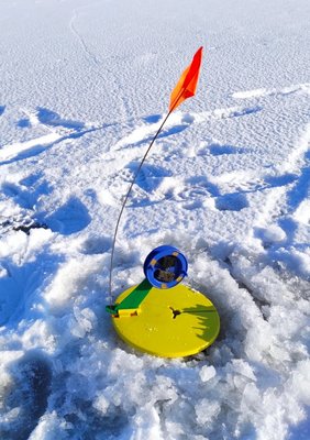 IMG_20220122_102900.jpg