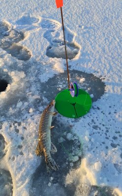 IMG_20220122_103004.jpg