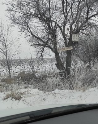 IMG_20220123_122651.jpg