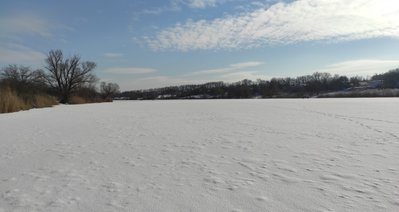 IMG_20220122_135120.jpg