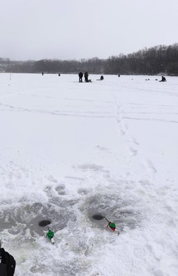 IMG_20220128_065323.jpg