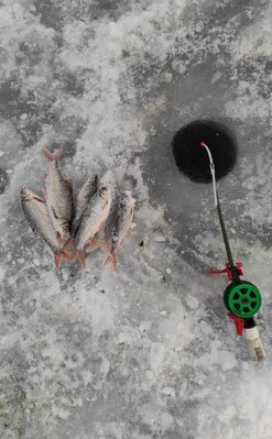 IMG_20220128_065342.jpg