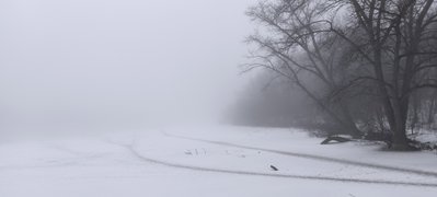 IMG_20220208_154536.jpg