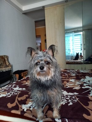 20221003_081857.jpg
