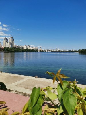 IMG_20230718_124312_828.jpg