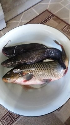 20230915_101606.jpg