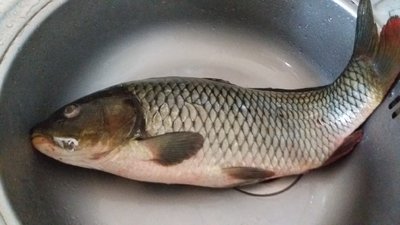 20230915_111824.jpg