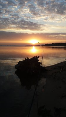 20230914_064119.jpg
