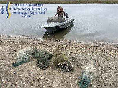 11_29_3.jpg