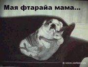 mostwanted0dc419ebedc74e319c7a4d1b89fccc39_30.jpg