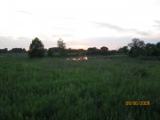 IMG_0311.jpg