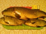 Photo-05.jpg