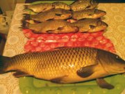 Photo-06.jpg
