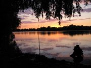 IMG_2472.jpg