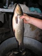 P1010001.JPG