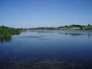 P1010023.JPG