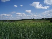 P1010045.JPG