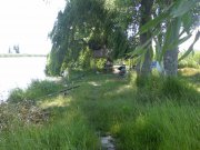 Photo-0231.jpg