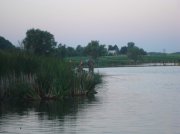 DSC04883.jpg