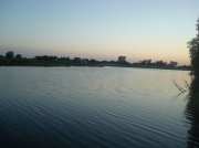 DSC04884.jpg