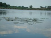 DSC04899.jpg