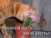 122.jpg
