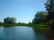 DSC00039.JPG