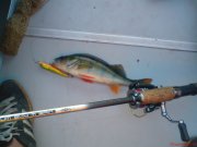 DSC00040.JPG