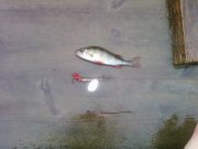 Photo-0114.jpg