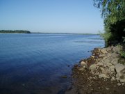 P1010001.JPG