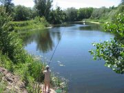 IMG_8669_1.JPG