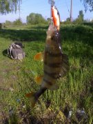 09052008360_измен.размер.jpg