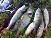 25062009850.jpg
